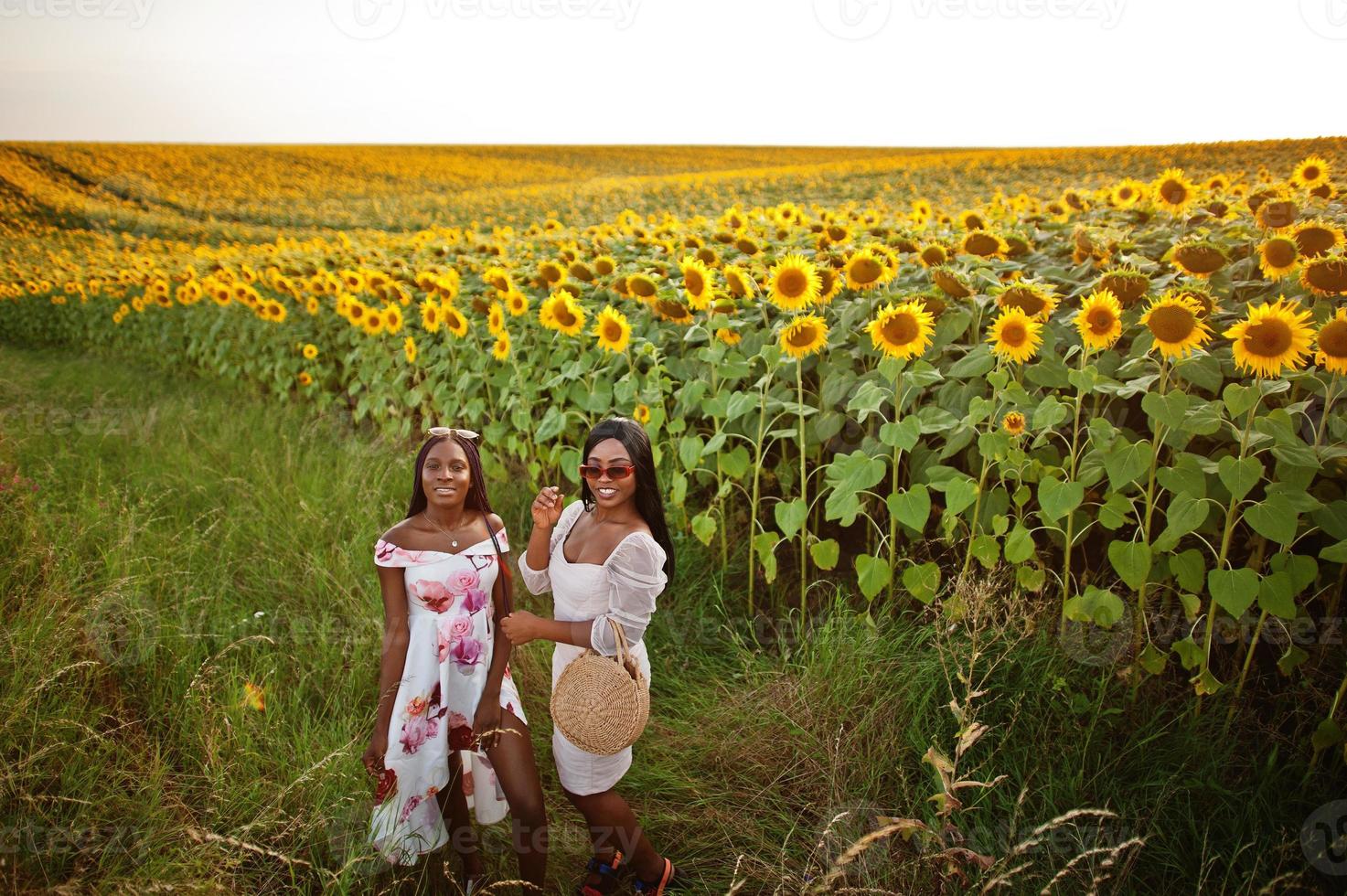 twee mooie jonge zwarte vrienden vrouw dragen zomerjurk poseren in een zonnebloemveld. foto