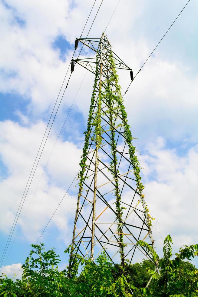 hoog Spanning elektrisch pool transmissie toren met fabriek en boom Aan wolk lucht achtergrond foto