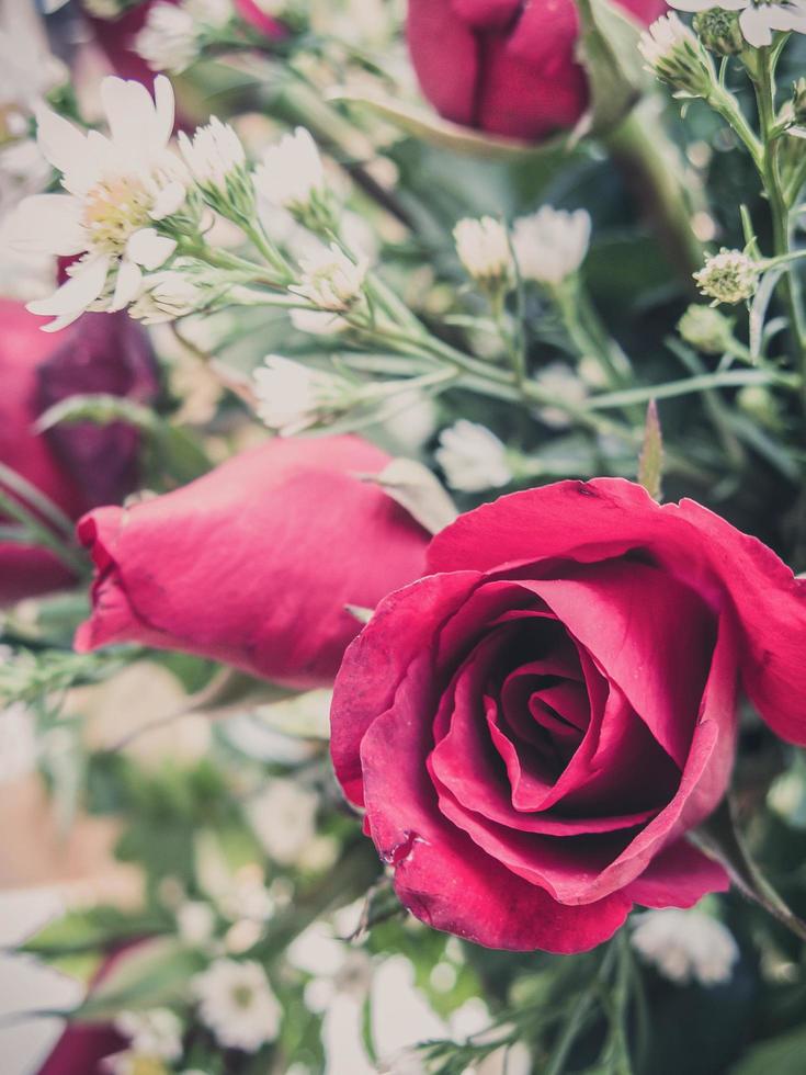 rood rozen boeket voor wijnoogst foto