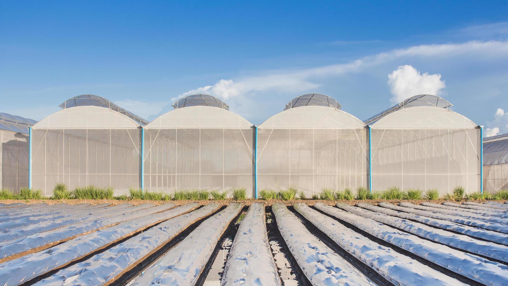 visie voor kas met blauw lucht en veld- landbouw foto