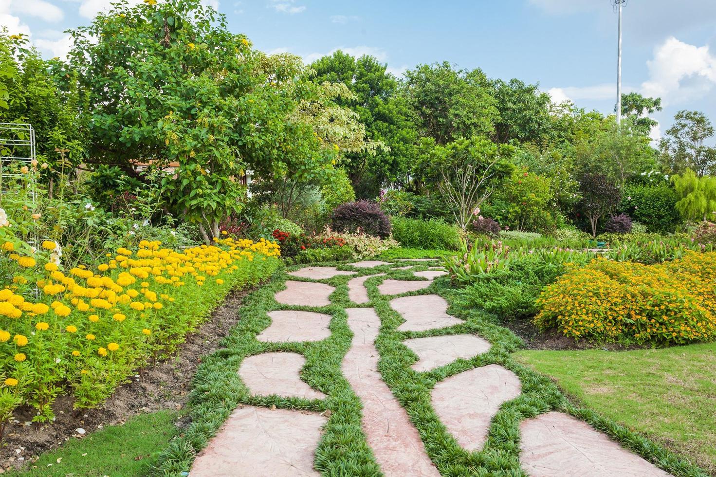 kleurrijk bloemperken en kronkelend gras traject in een aantrekkelijk Thailand formeel tuin foto