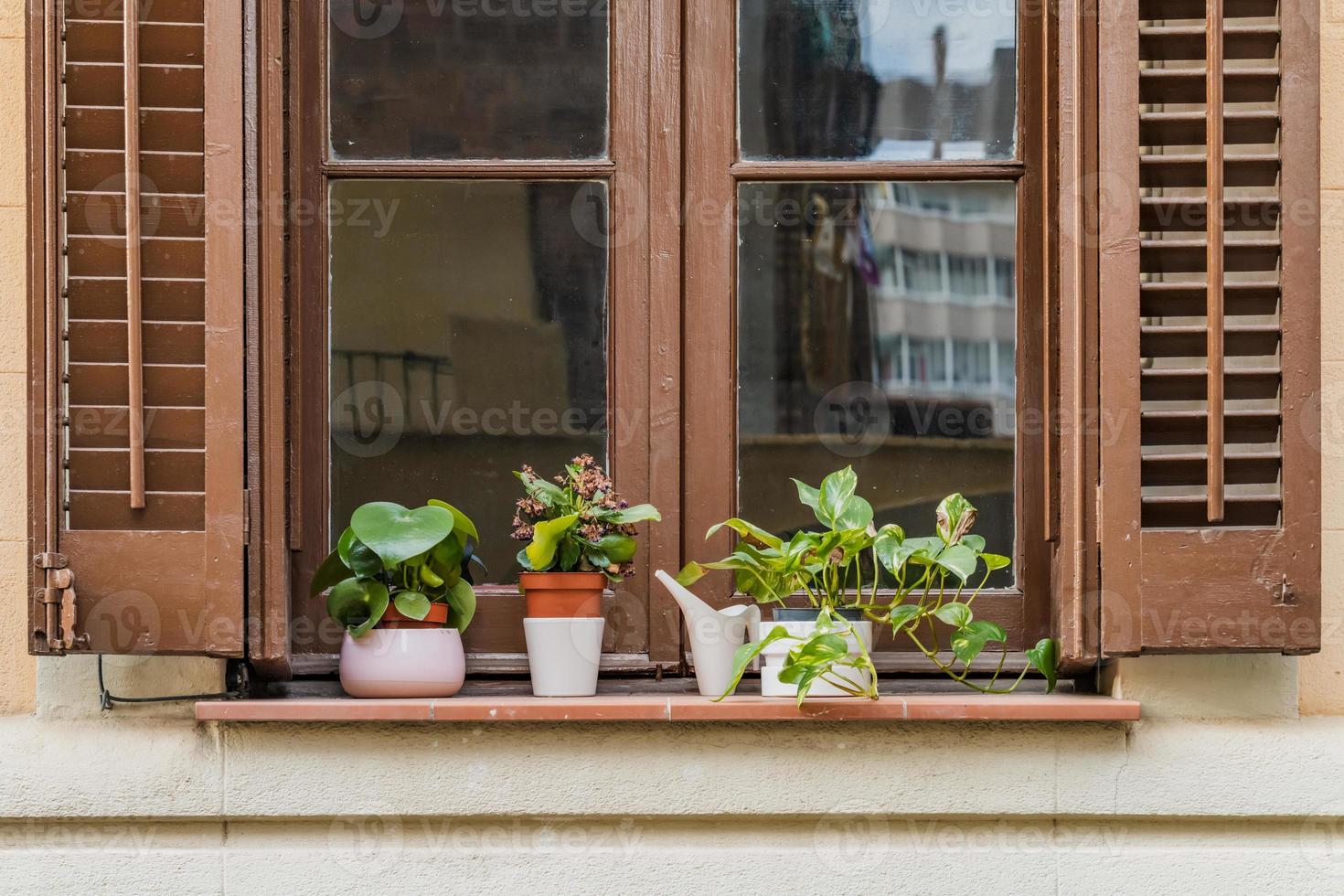 oud raam met planten foto