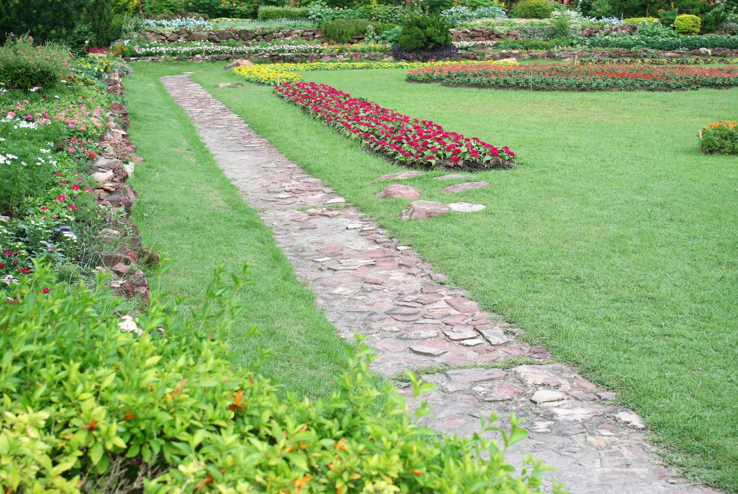 stenen pad in een tuin foto