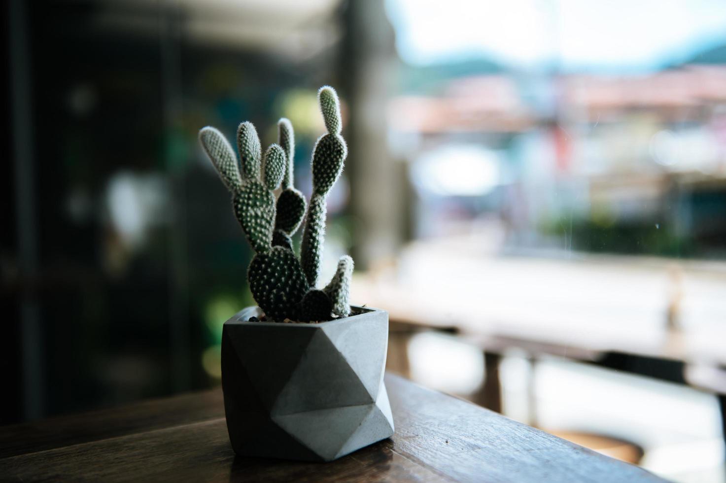 cactussen in potten, selectieve aandacht foto