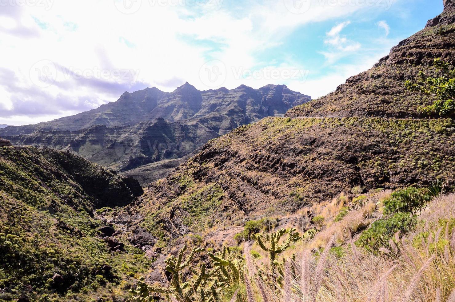 rotsachtig landschap Aan de kanarie eilanden foto