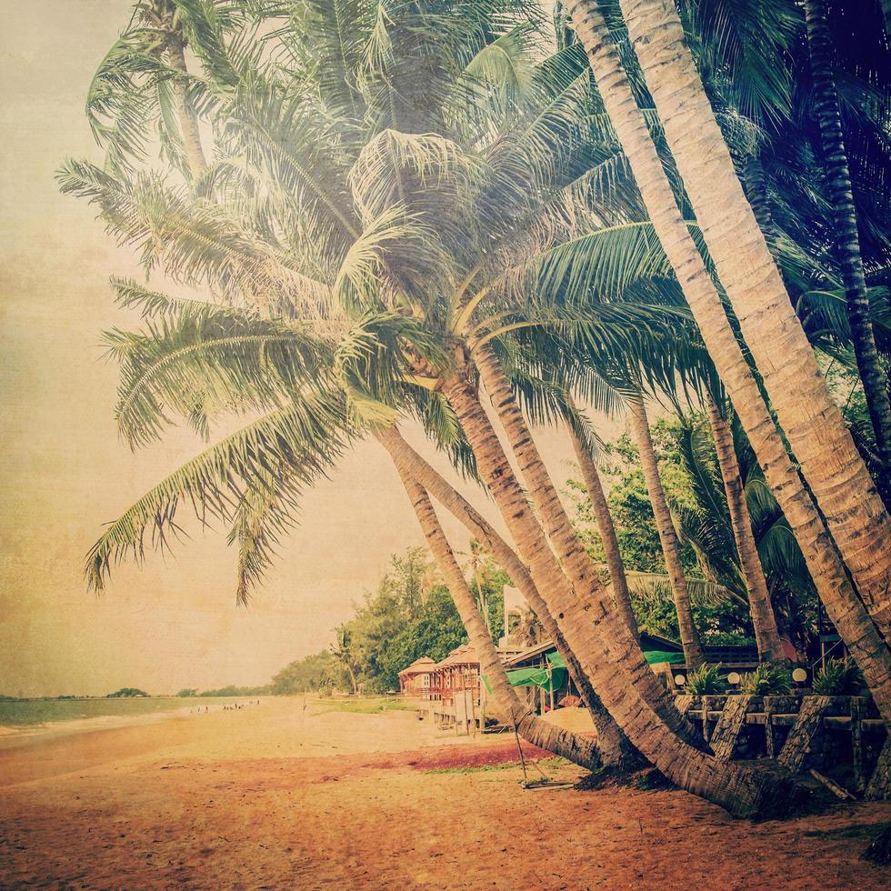 kokosnoot palm boom Aan zand strand met wijnoogst toon. foto