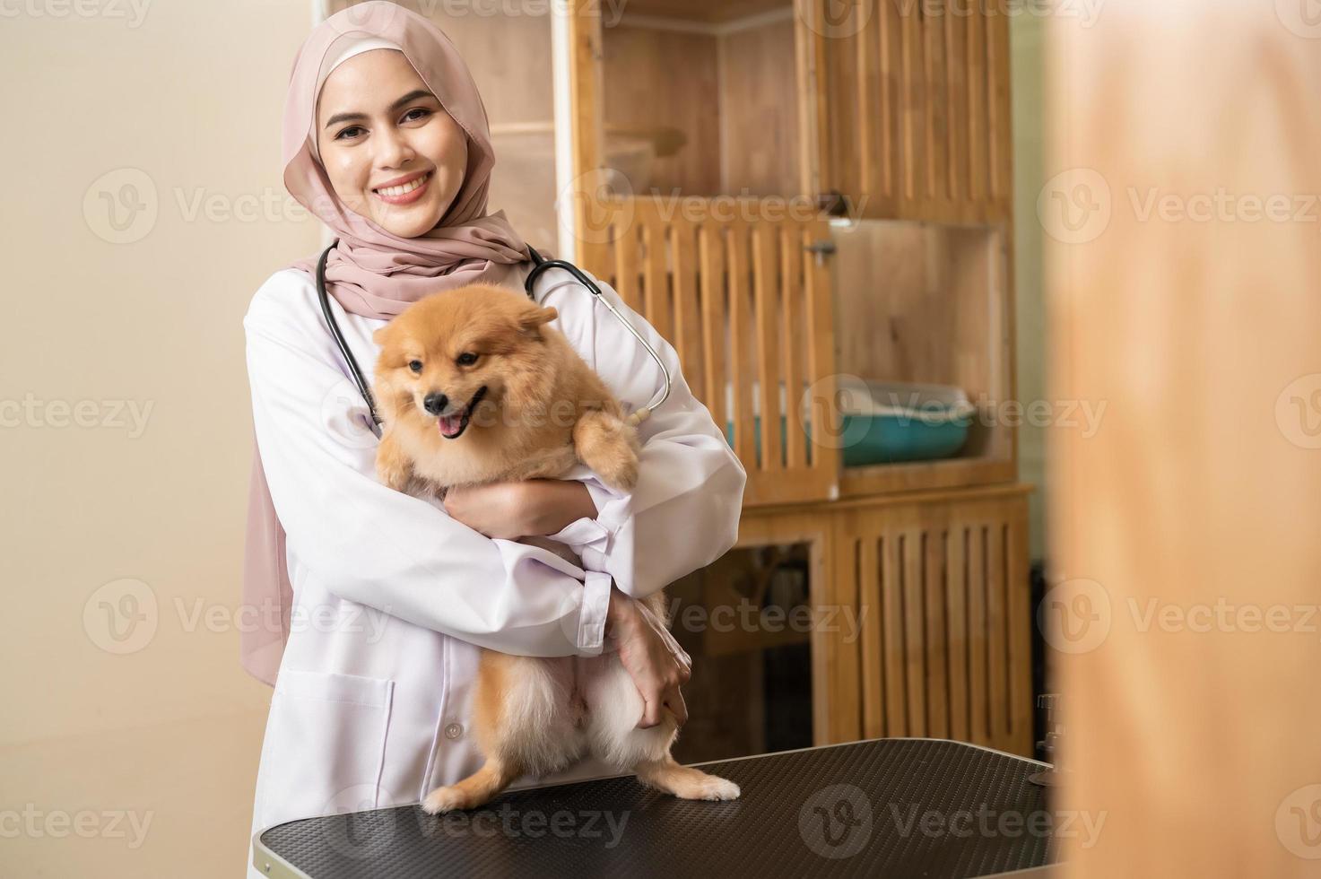 jong vrouw moslim dierenarts met stethoscoop onderzoeken hond in dierenarts kliniek foto