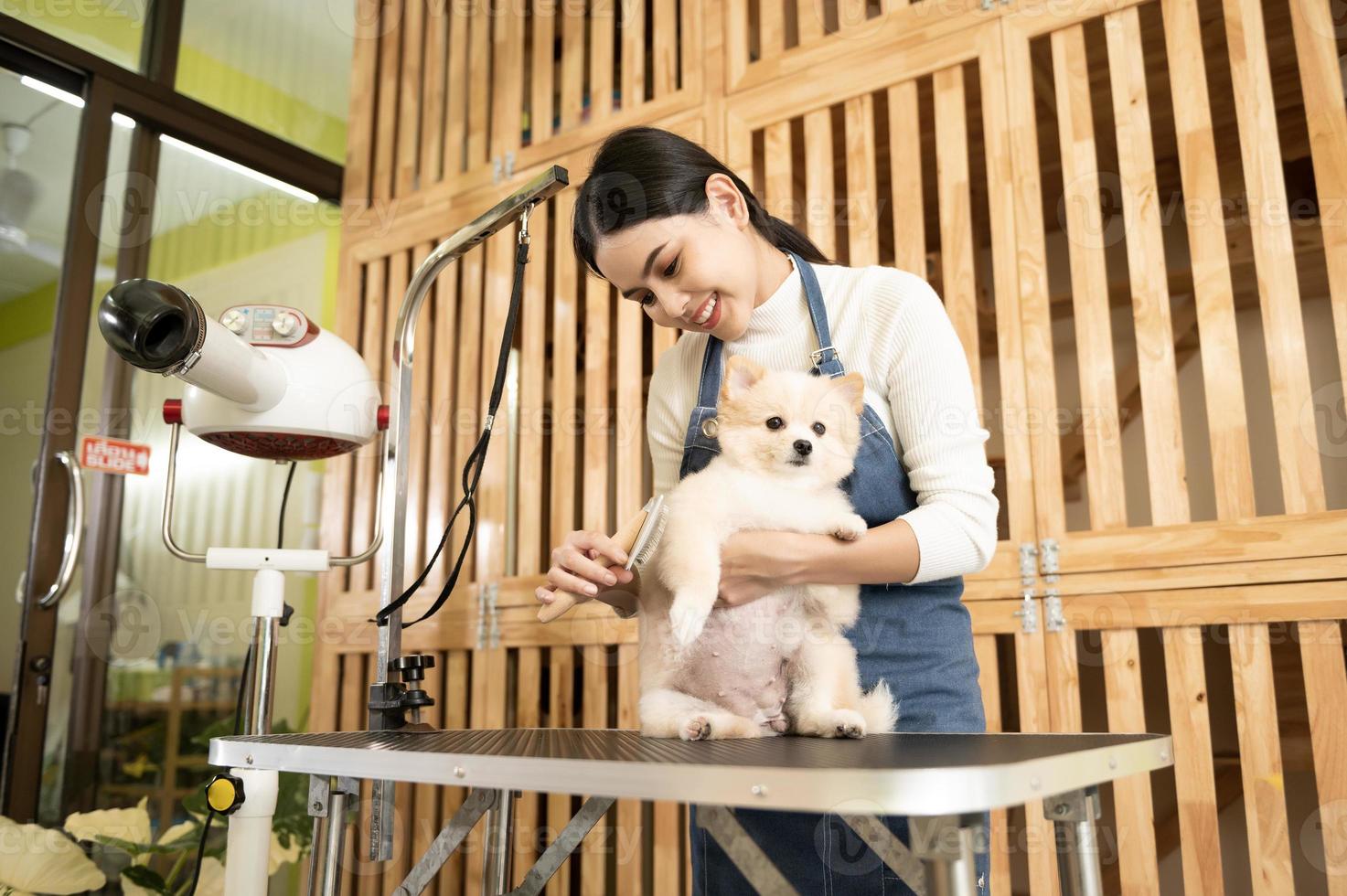 vrouw professioneel groomer kammen hond vacht Bij huisdier spa uiterlijke verzorging salon foto