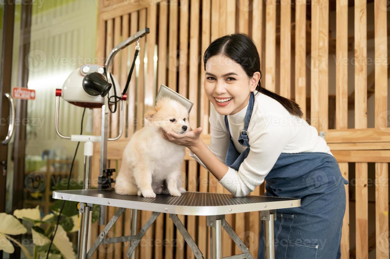 vrouw professioneel groomer kammen hond vacht Bij huisdier spa uiterlijke verzorging salon foto