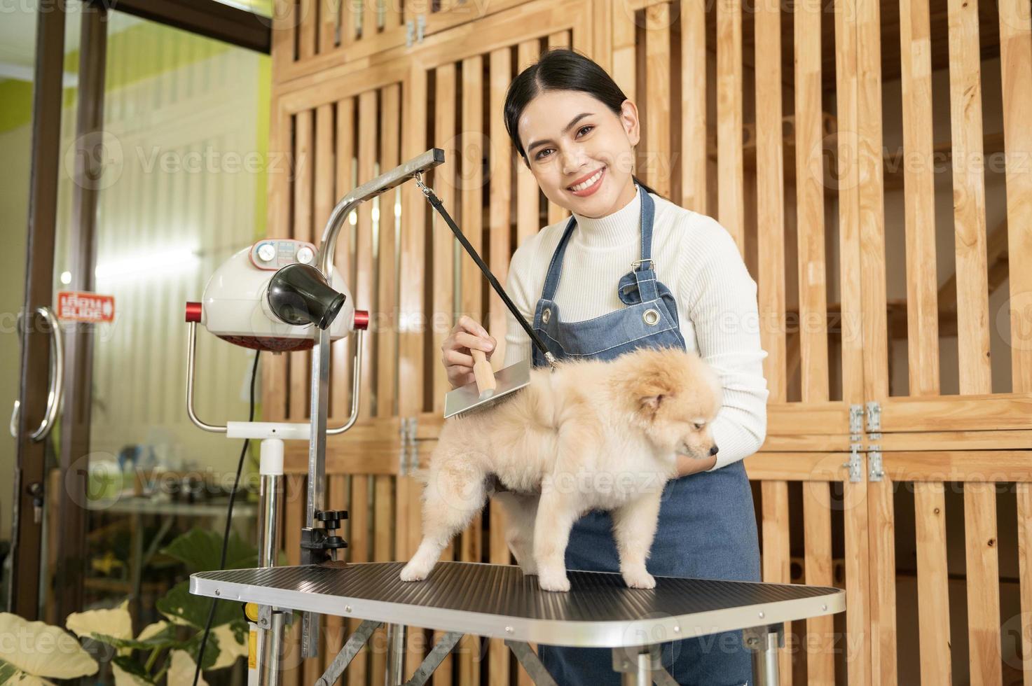 vrouw professioneel groomer kammen hond vacht Bij huisdier spa uiterlijke verzorging salon foto