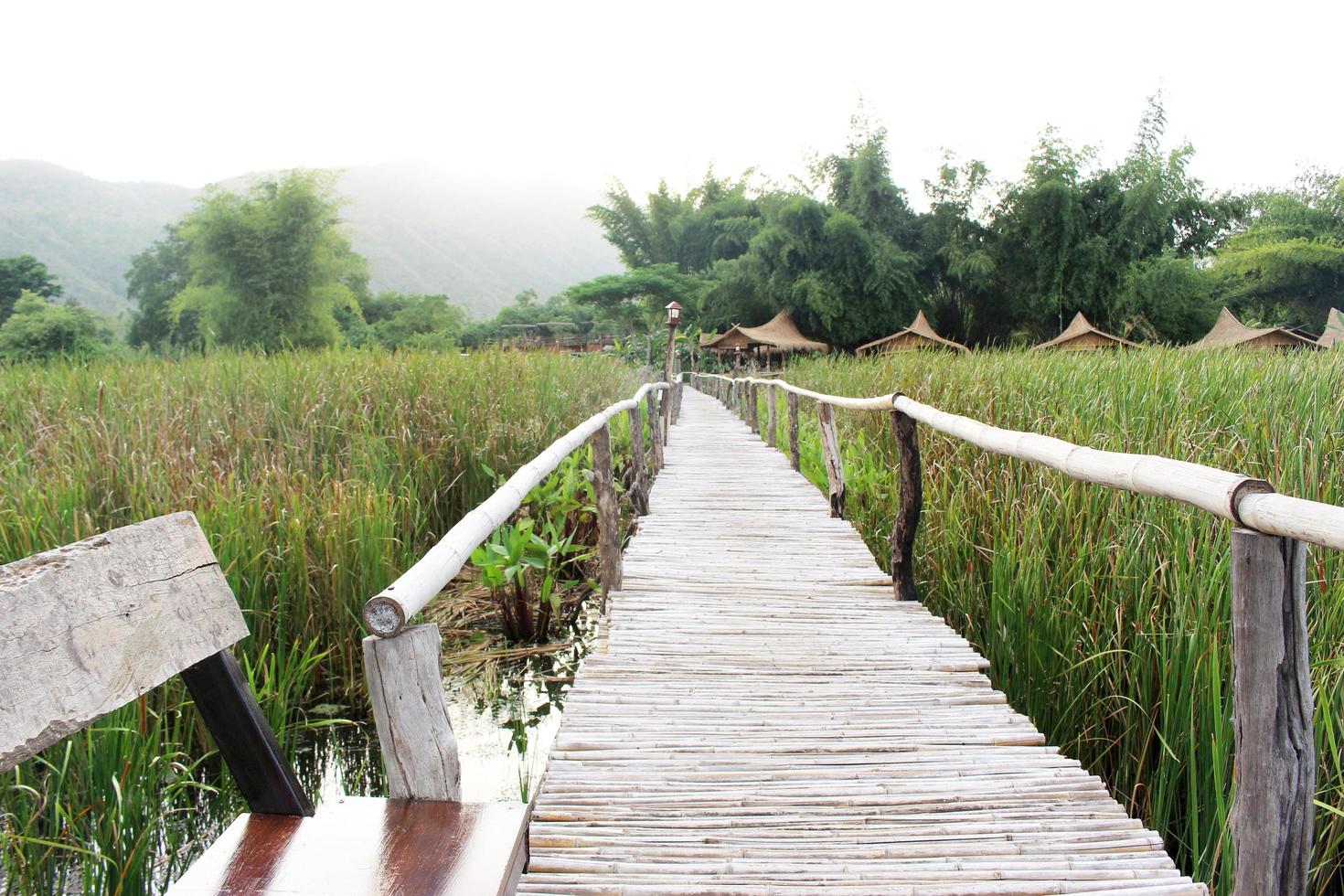 bamboe brug loopbrug op een groen veld foto