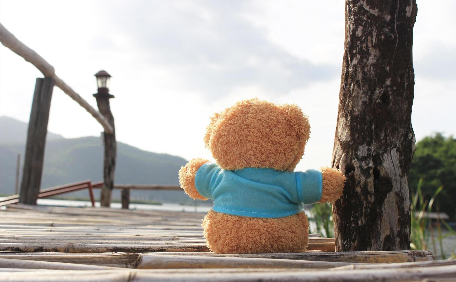 teddybeer zittend op een bamboe brug foto