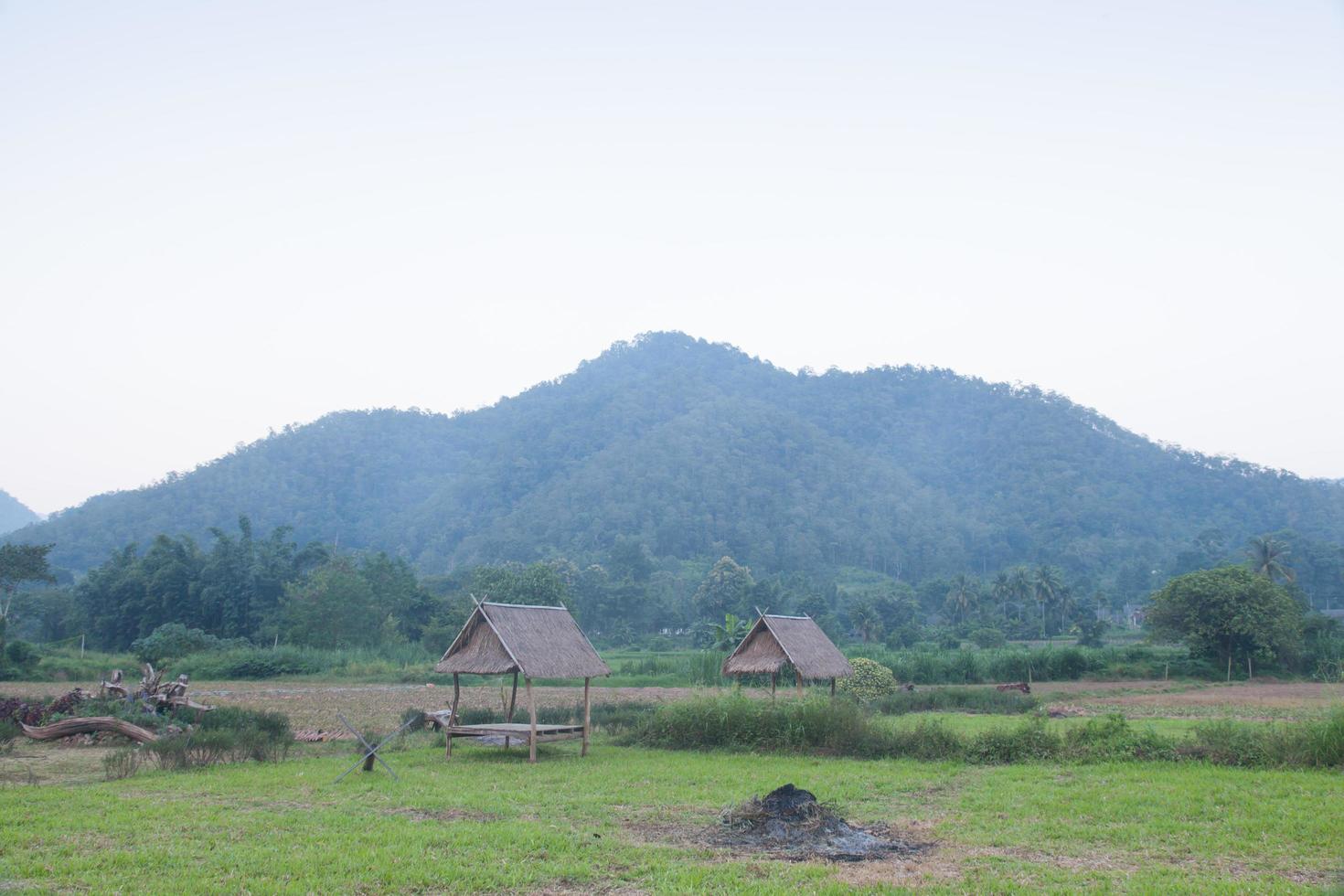 hutten op het veld op het platteland van Thailand foto