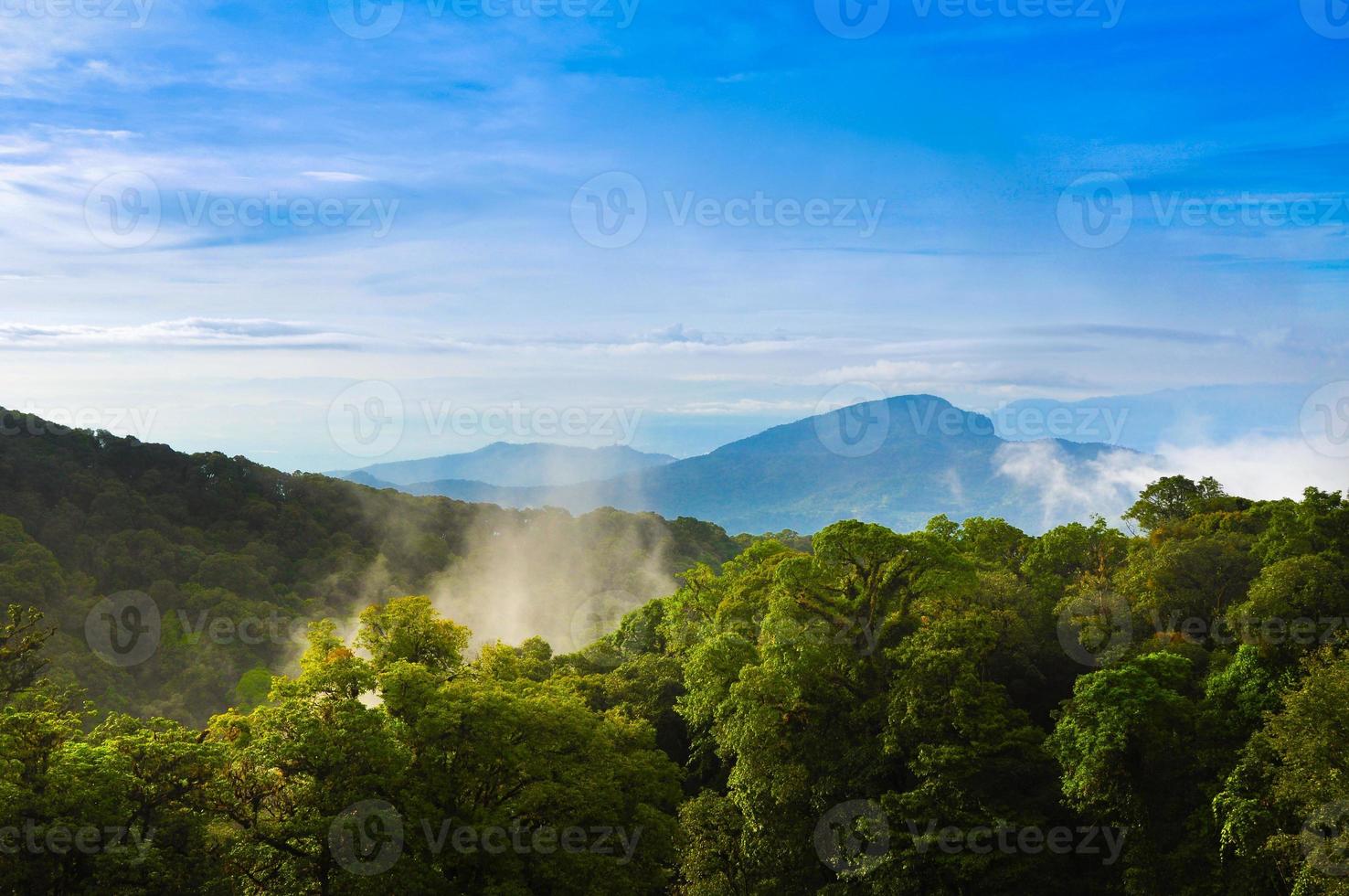 mooi bergen in wolken Bij zonsopkomst in zomer. antenne visie van berg top met groen bomen in mist. mooi landschap met hoog rotsen, Woud, lucht. foto