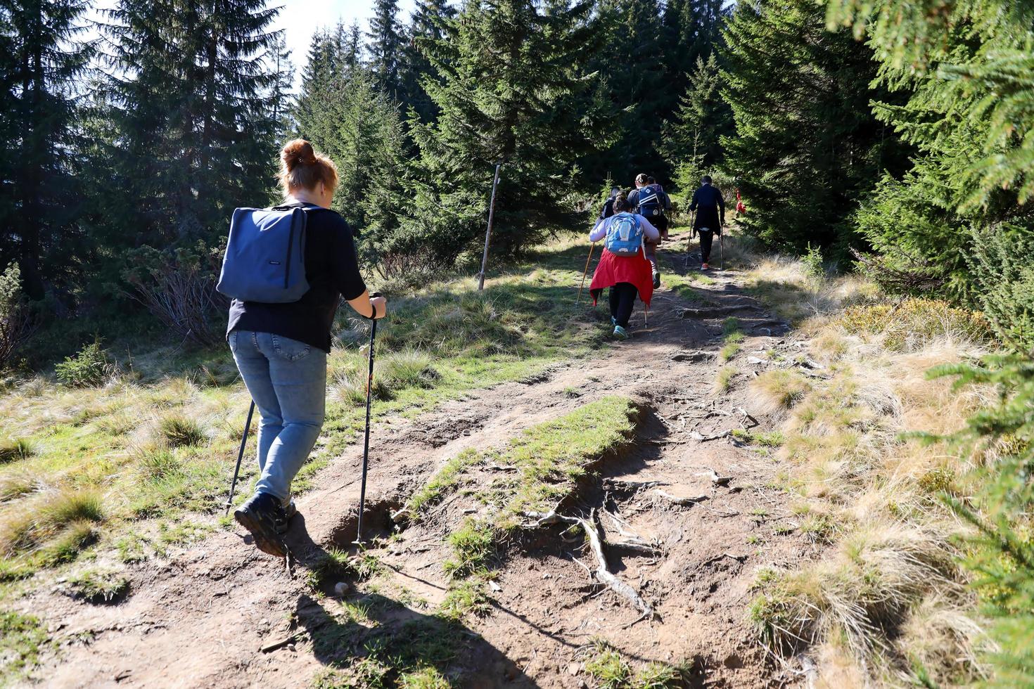 Karpaten bergen, Oekraïne - oktober 8, 2022 monteren hoverla. Karpaten in Oekraïne in herfst foto