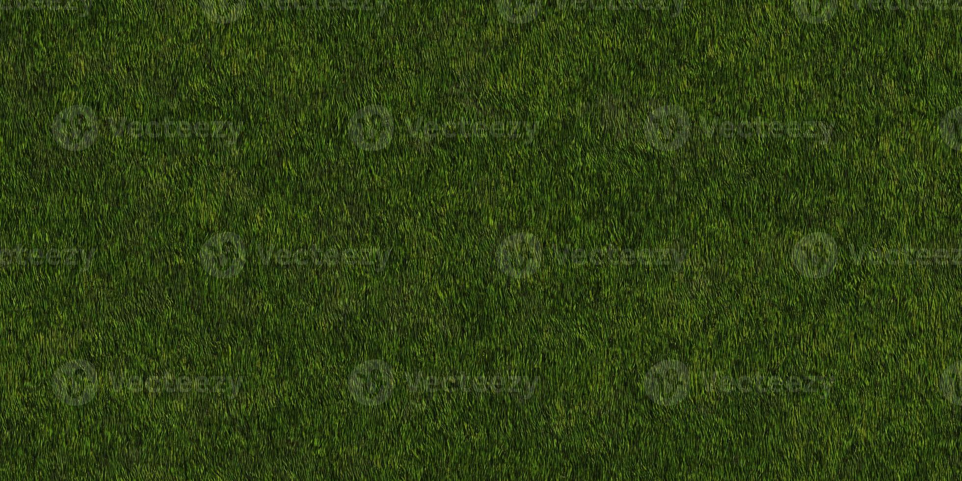weelderig getextureerde weide achtergrond. gras textuur. veld- achtergrond. park gazon patroon. foto
