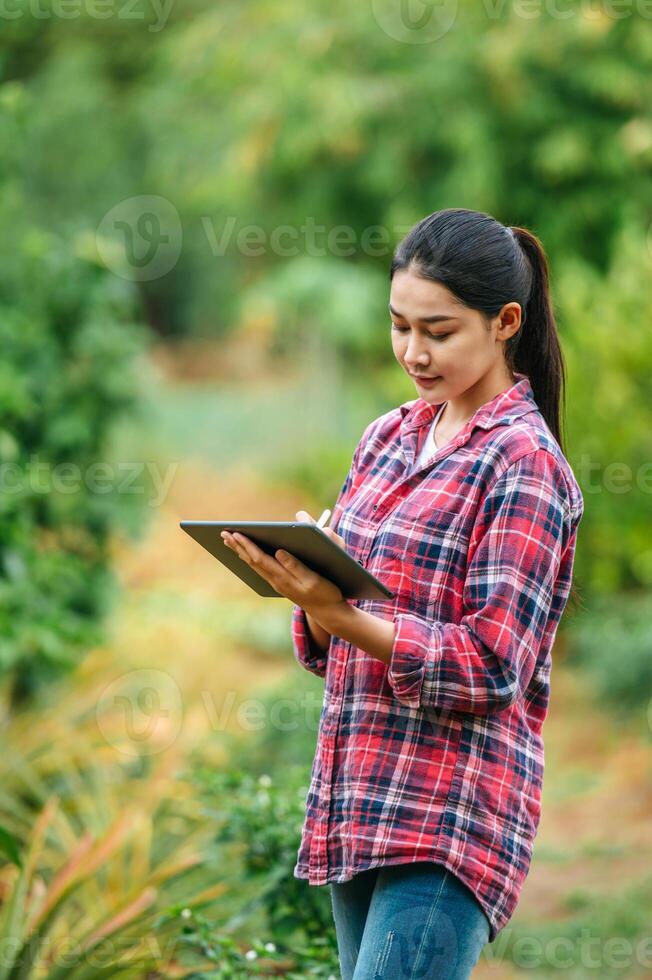 Aziatisch jong vrouw boer met een tablet in haar handen onderzoekt de groen veld. modern technologieën in landbouw beheer en agribusiness concept. foto