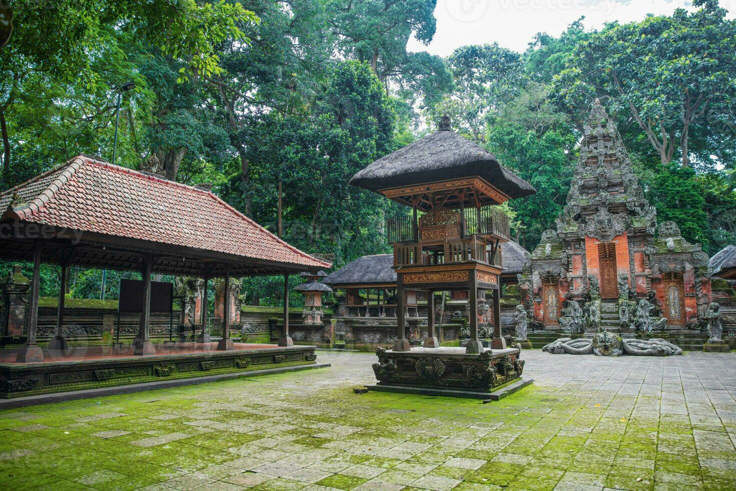 tempel Bij de heilig aap Woud foto