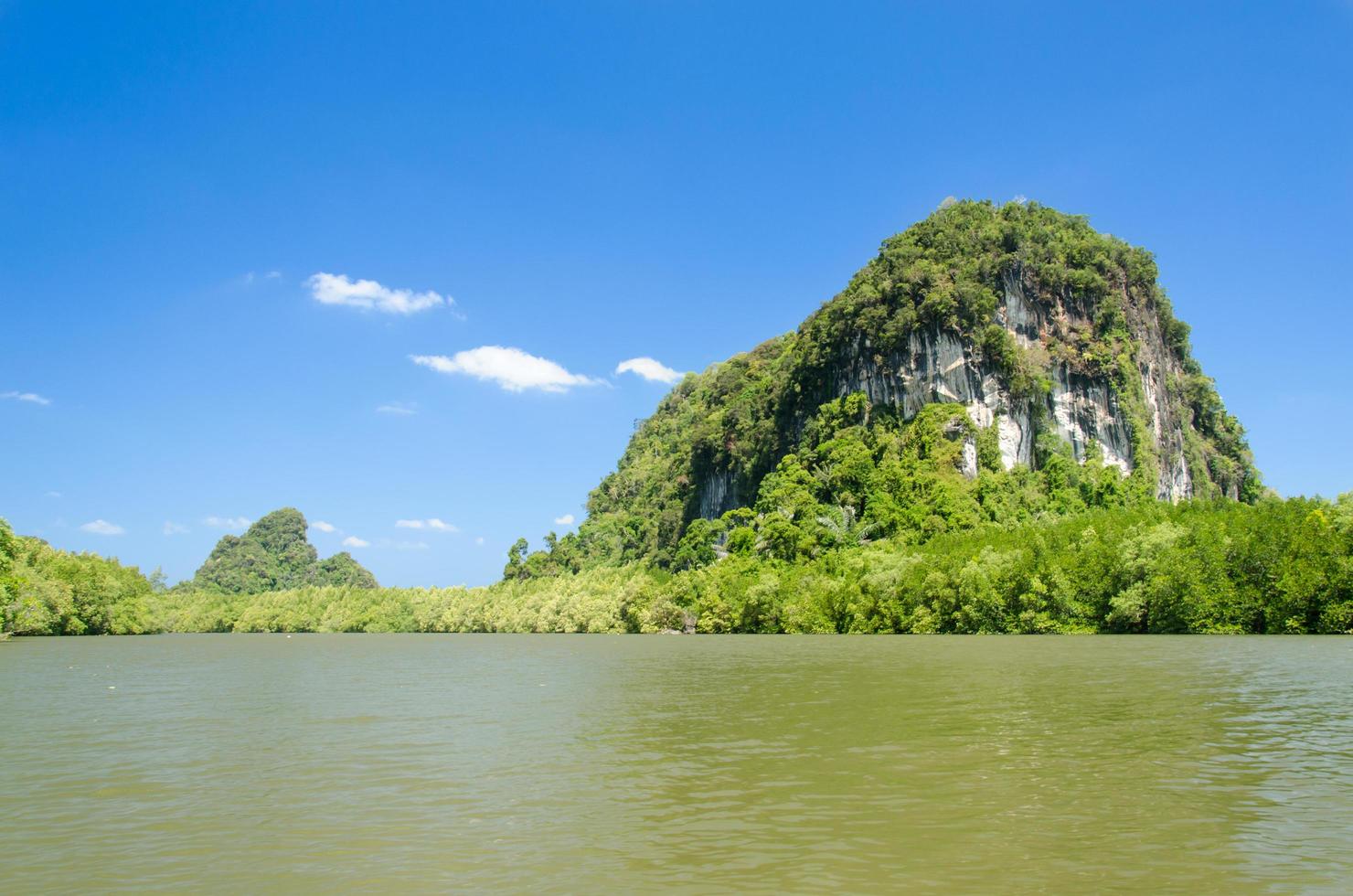 mooie blauwe hemel en tropisch mangrovebos in krabi, thailand foto