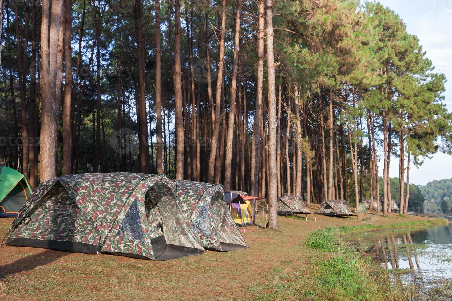 kampeertenten met bomen gedurende de dag foto