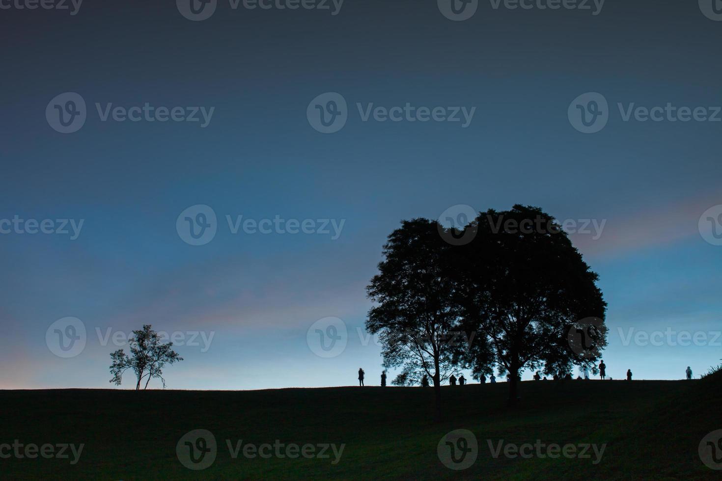 bomen bij zonsondergang foto