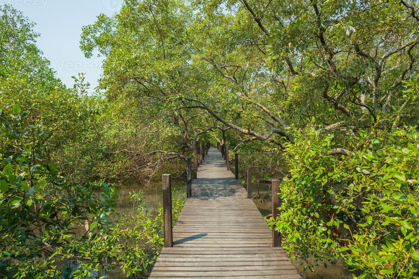 houten loopbrug door een bos foto