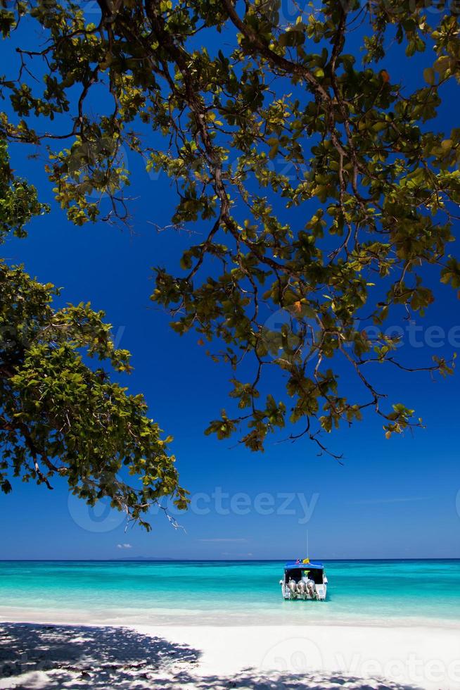 boom op een strand met een boot foto