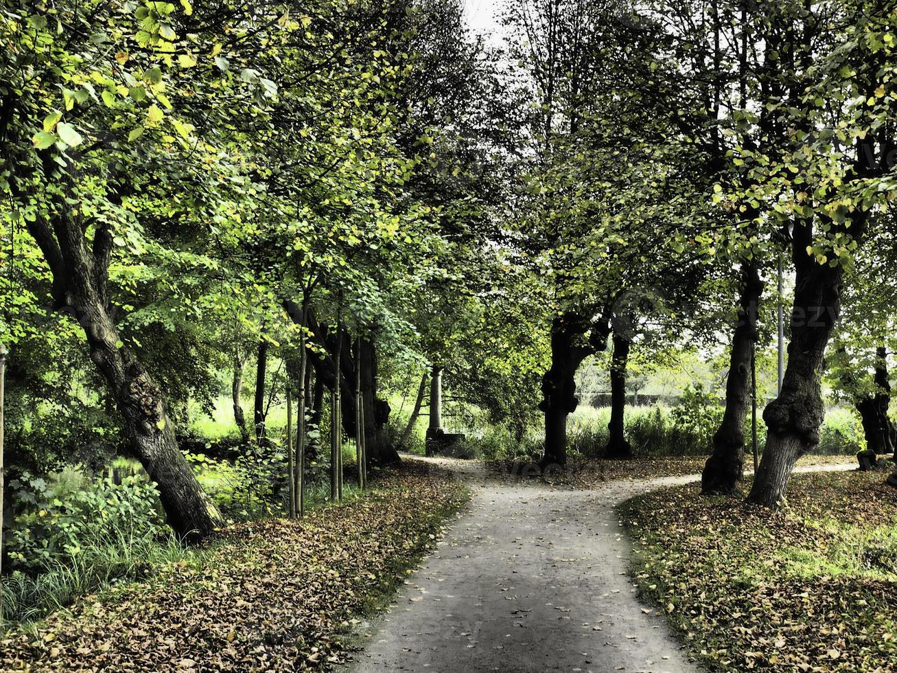 oud kasteel in Westfalen foto