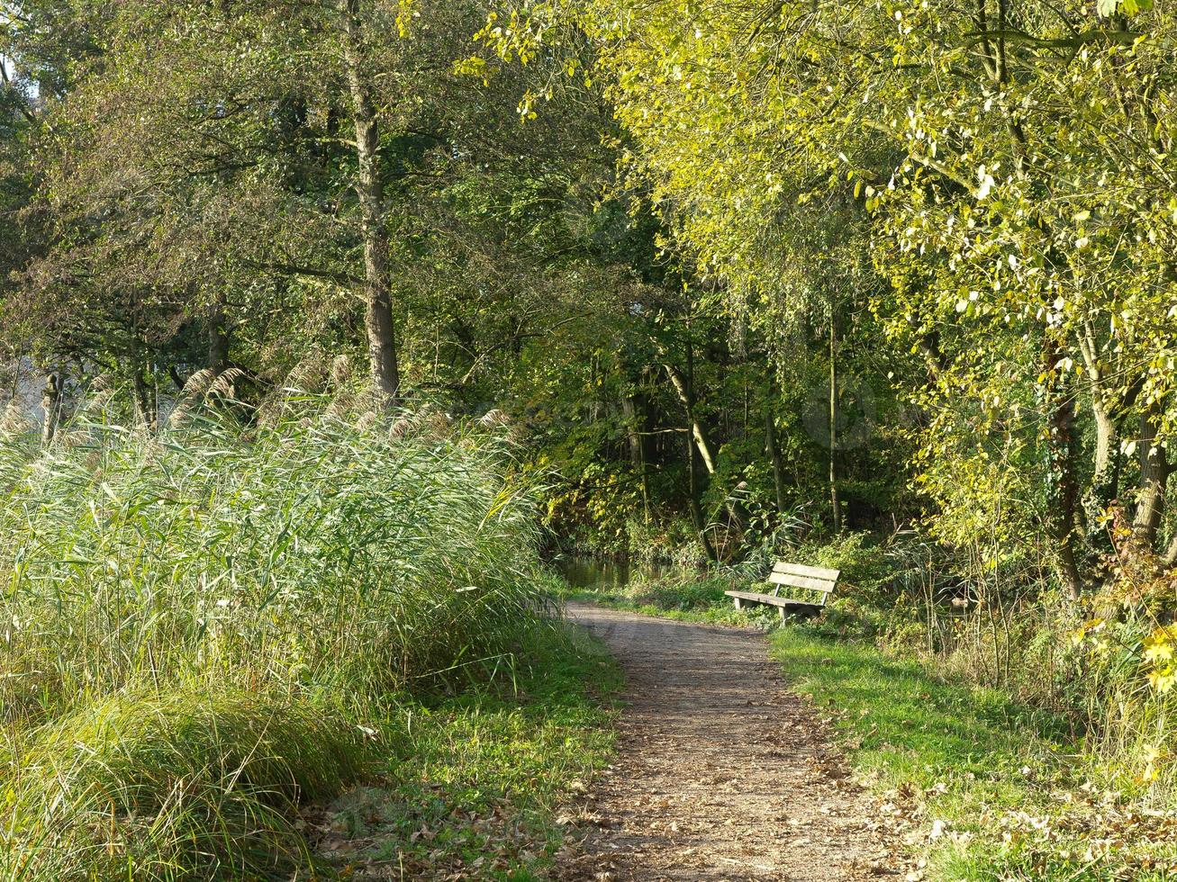 oud kasteel in Westfalen foto