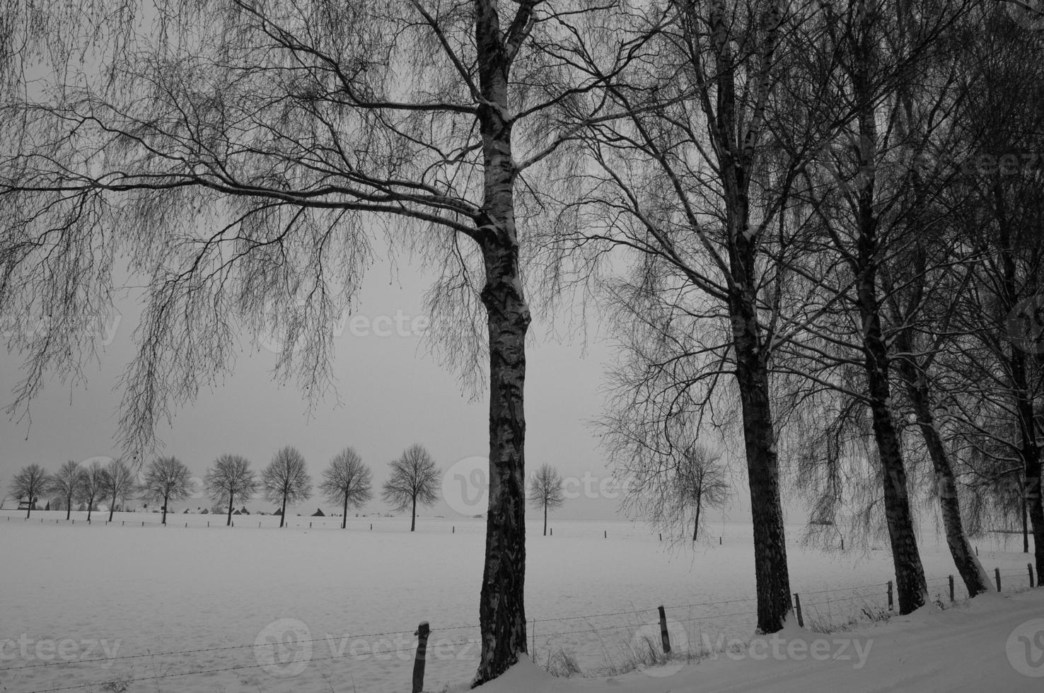 Bij de kasteel van Raesfeld in Duitsland foto