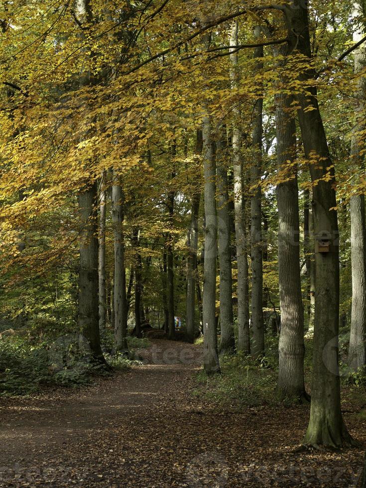 Raesfeld kasteel in Westfalen foto