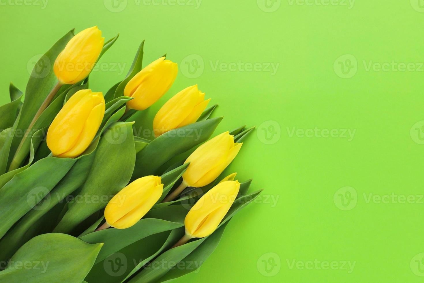 boeket van vers geel tulpen met groen bladeren in bodem links hoek Aan licht groen kleur papier achtergrond. maart 8 vrouwen dag. moeders dag. grootmoeder dag. gelukkig verjaardag. Pasen. bruiloft. kopiëren ruimte. foto