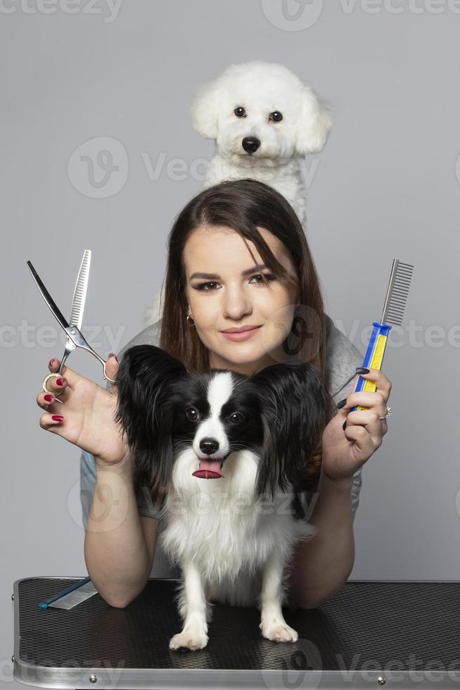 jong professioneel groomer met huisdieren. ze is poseren met een instrument. papillon en bichon hond met kapper meisje. foto