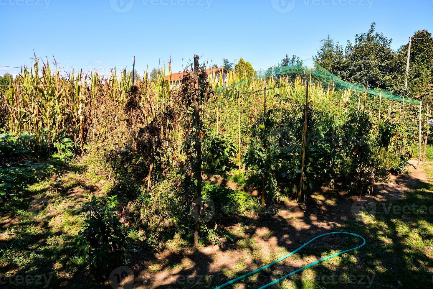 visie van de boerderij foto