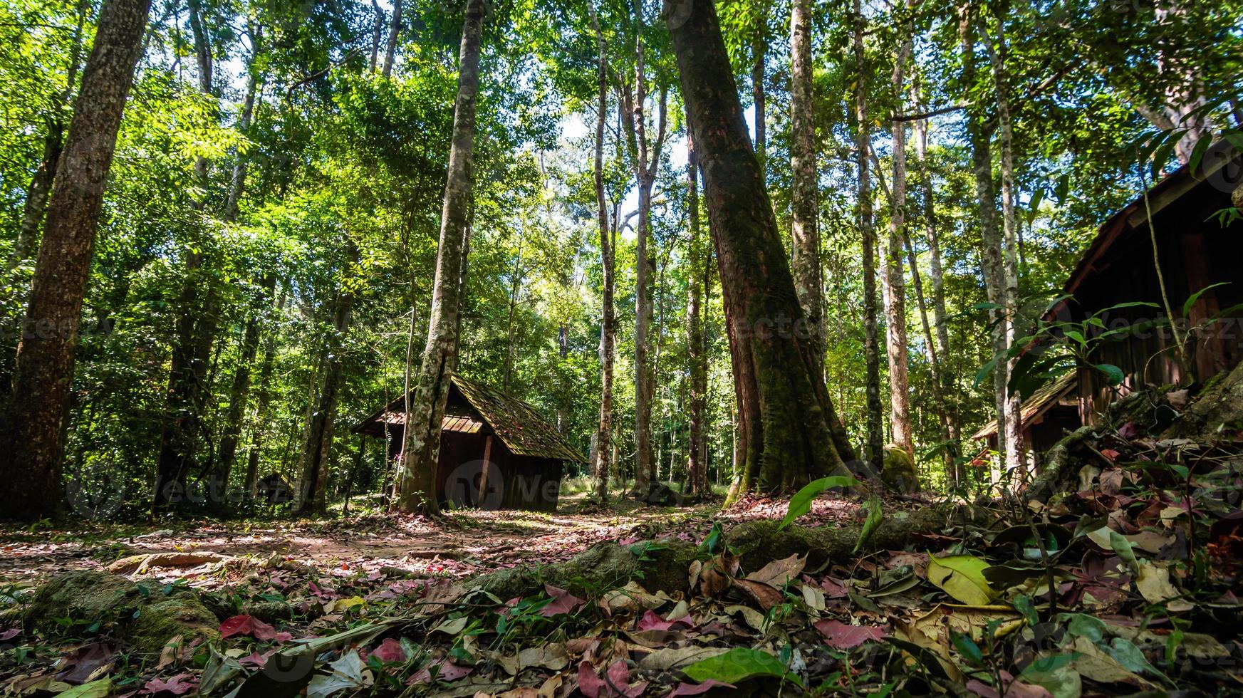 leger school- Bij phu hin rong kla nationaal park Thailand foto