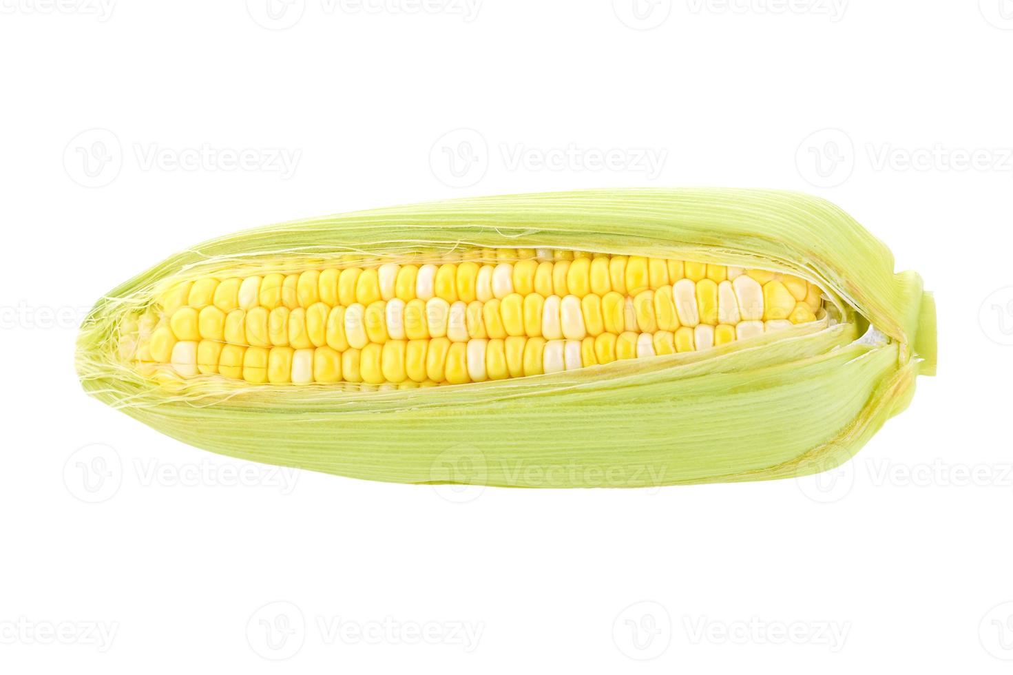 3385 vers maïs geïsoleerd Aan een transparant achtergrond foto