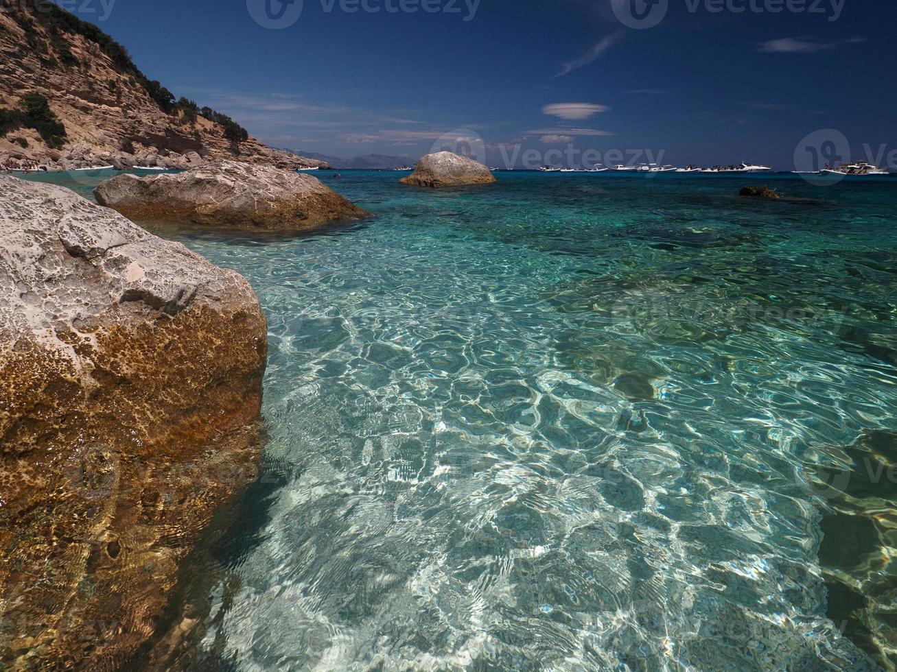 zeemeeuw baai baia dei gabbiani strand Sardinië visie kristal wateren foto