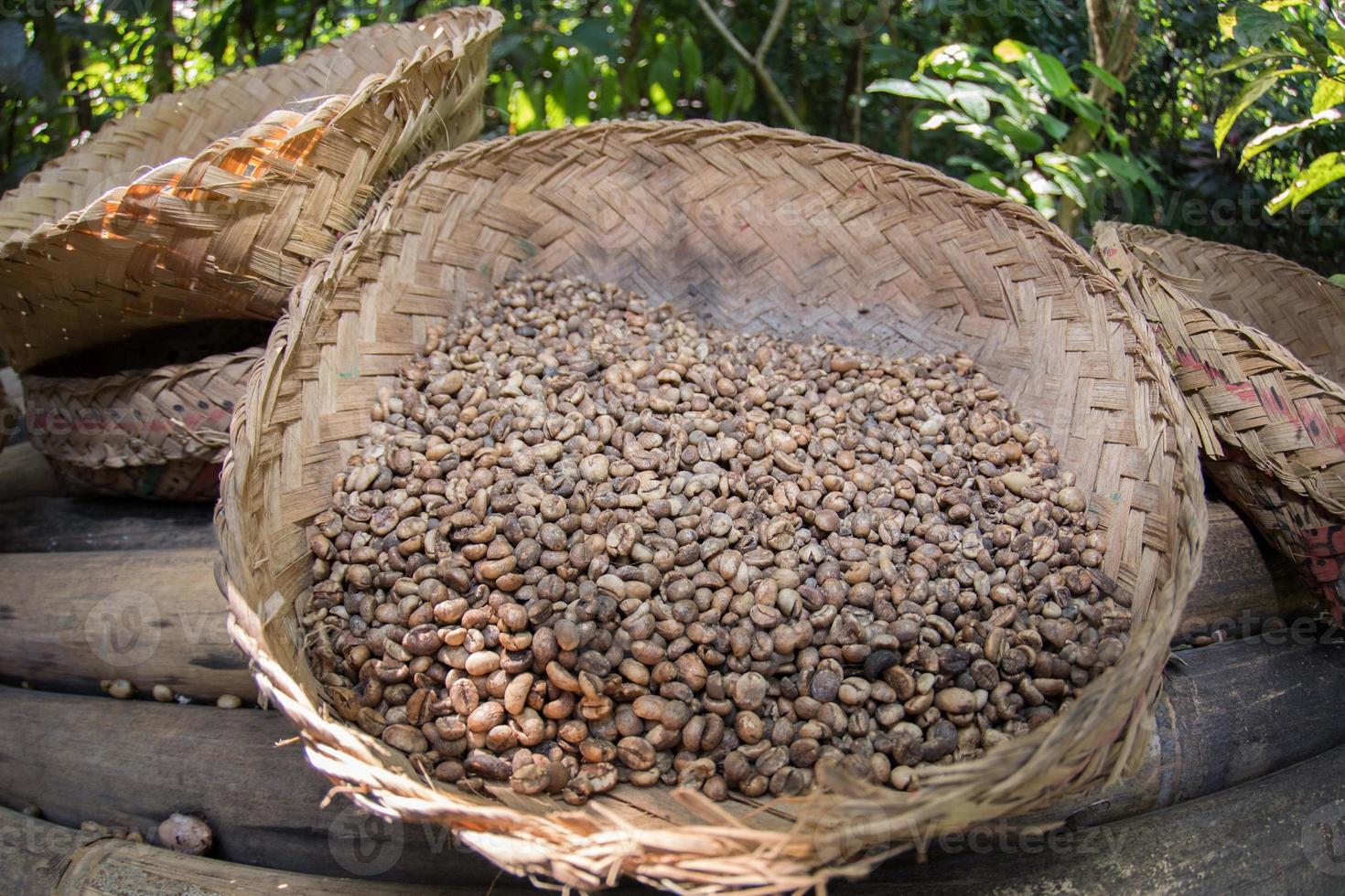 hand- geroosterd koffie zaden in Bali, Indonesië foto