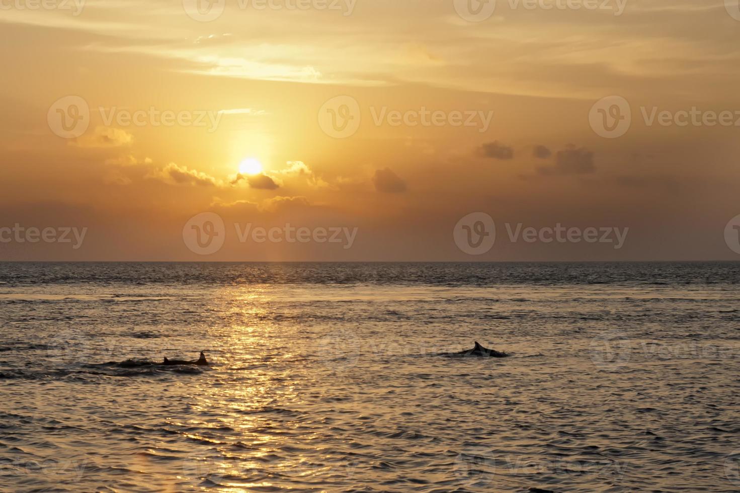 Maldiven dolfijnen jumping in de straal lichten van zonsondergang turkoois tropisch paradijs foto