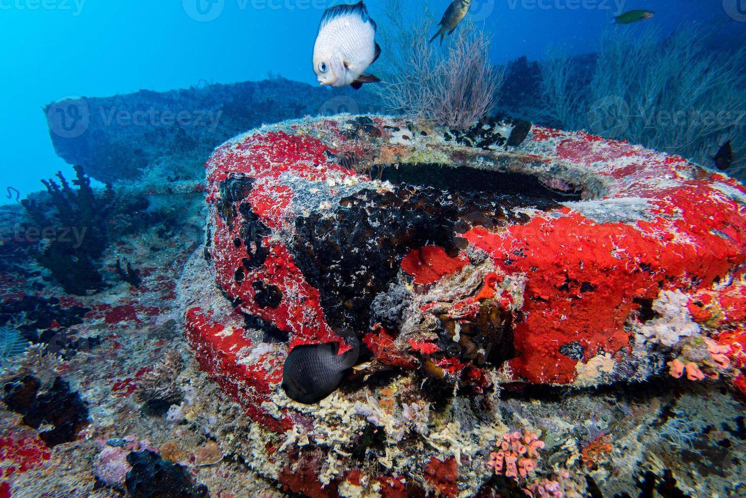 schip wrak in Maldiven Indisch oceaan foto