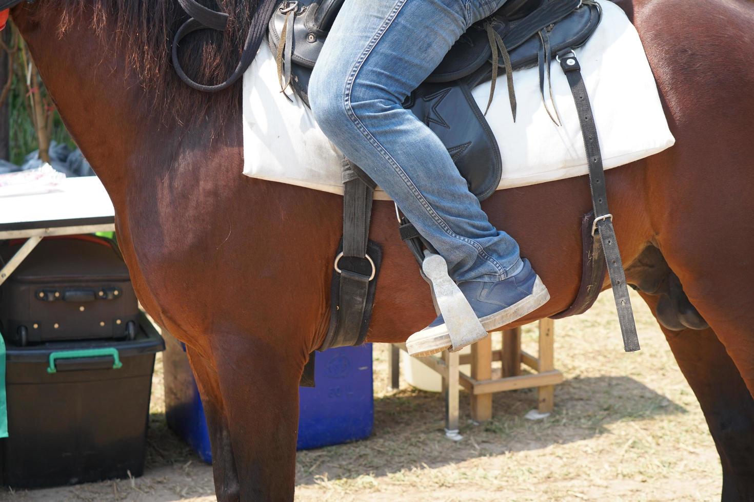 menselijk voet rijden een paard foto