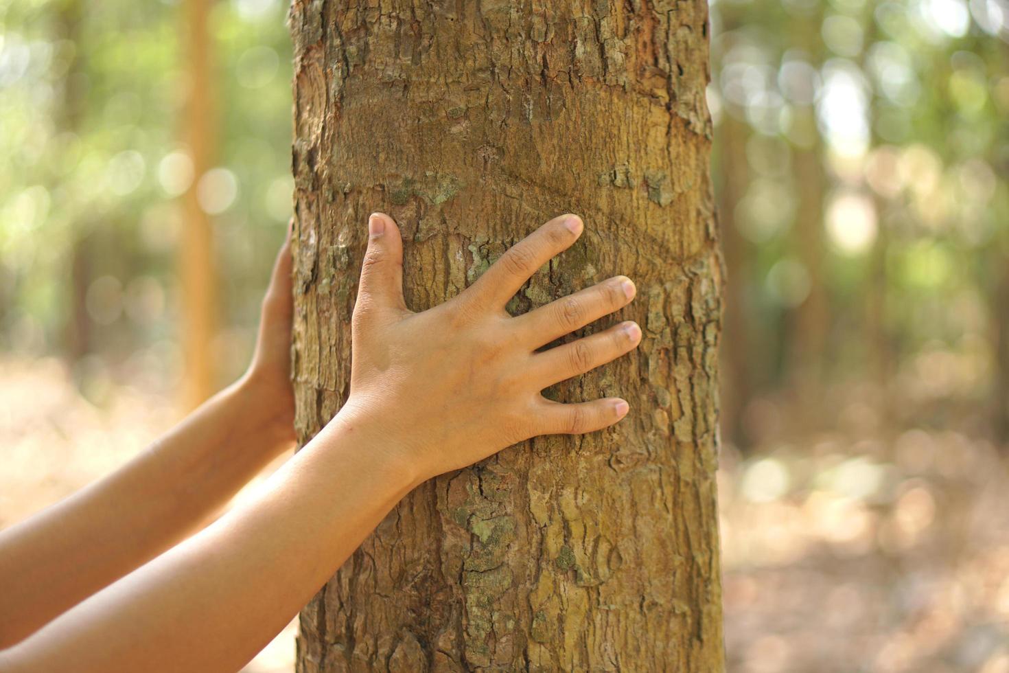 concept van besparing de wereld Aziatisch vrouw aanraken een boom foto