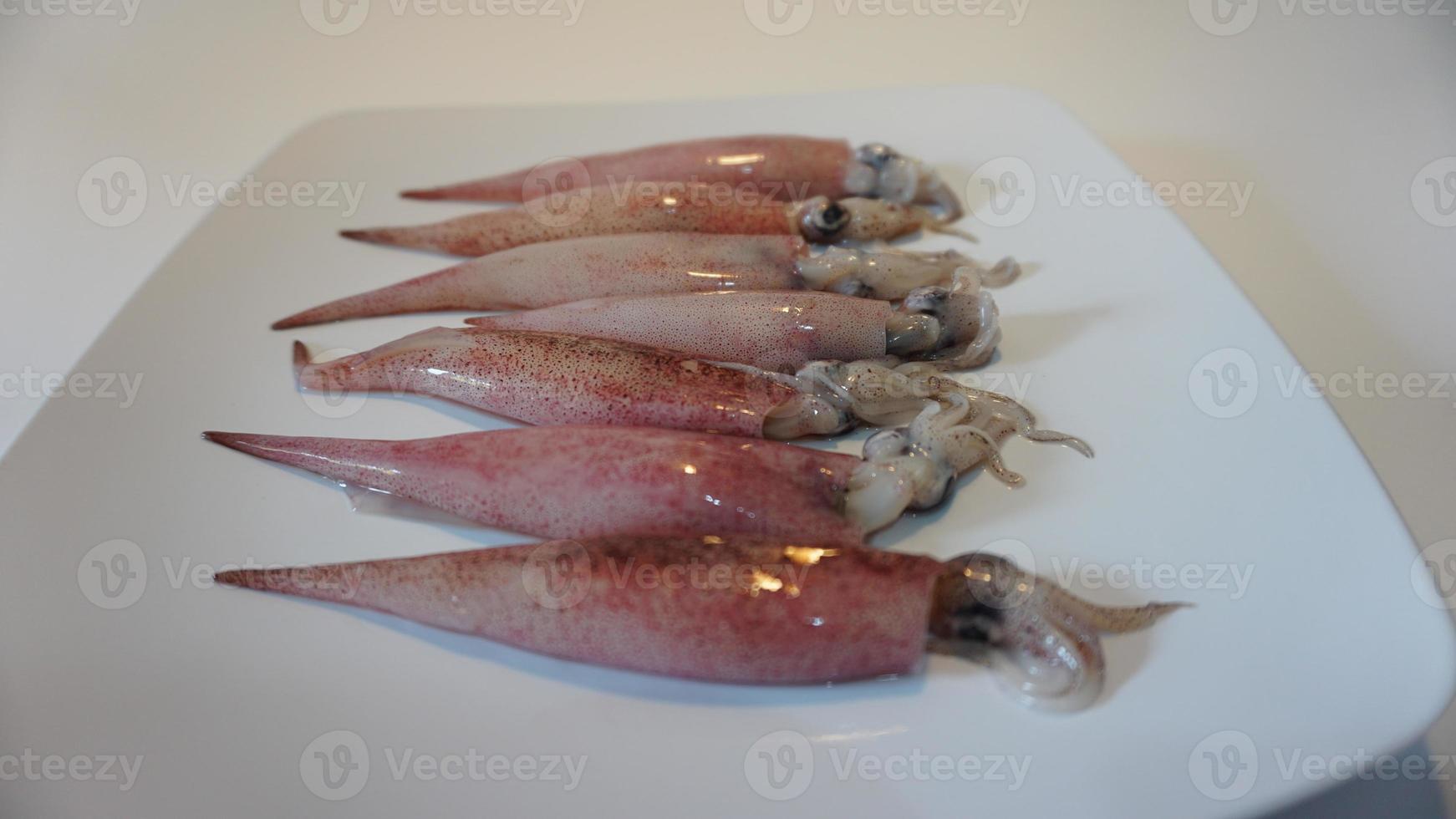 inktvis zeevruchten Aan bord Aan wit. foto