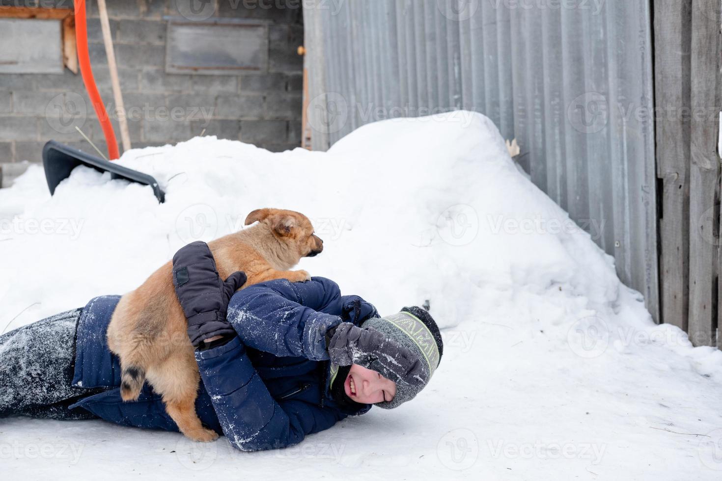 puppy's gooide de kind Aan de sneeuw en iedereen verheugt zich. grappig spellen met een hond buiten in winter foto