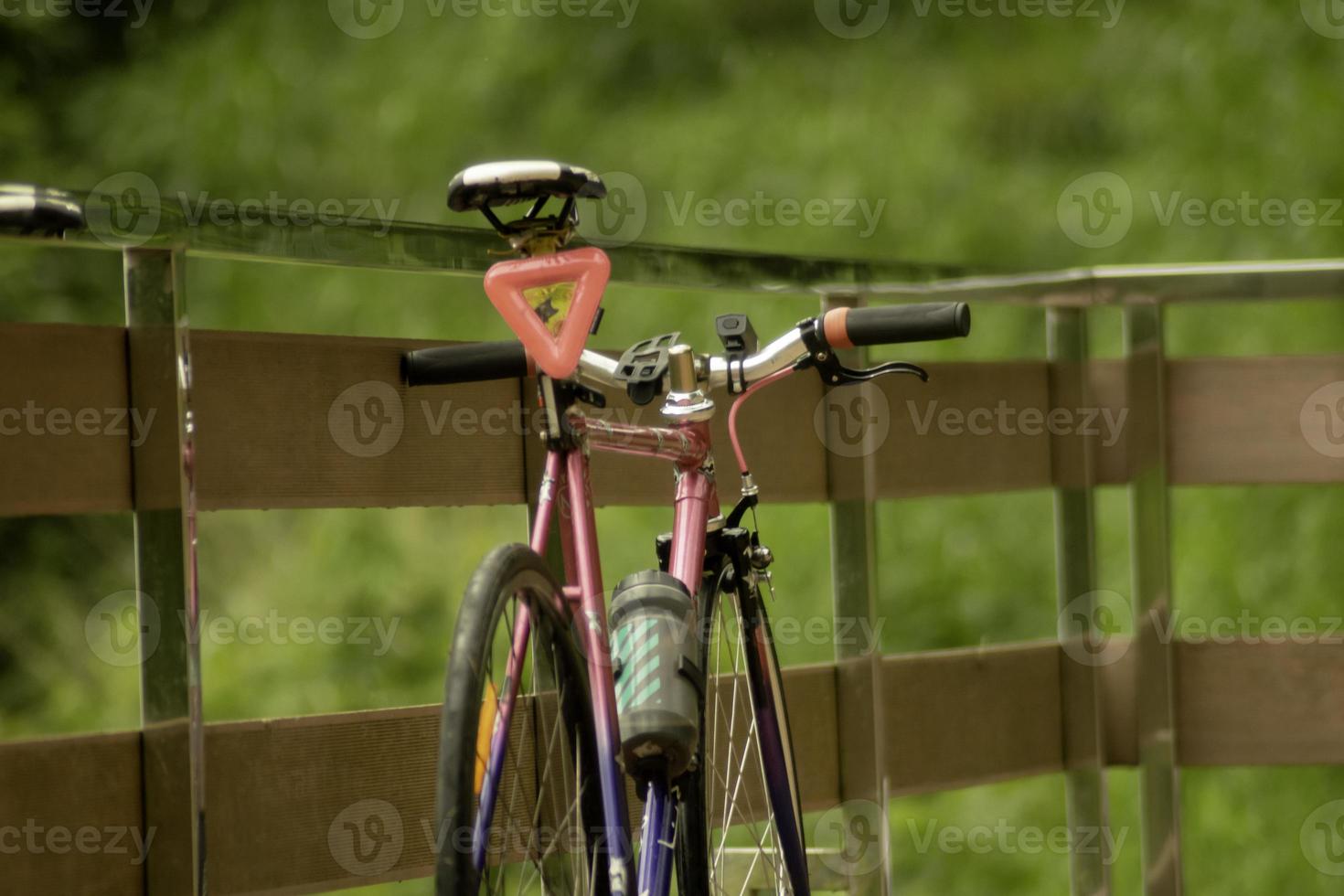 terug visie van fiets in de park foto
