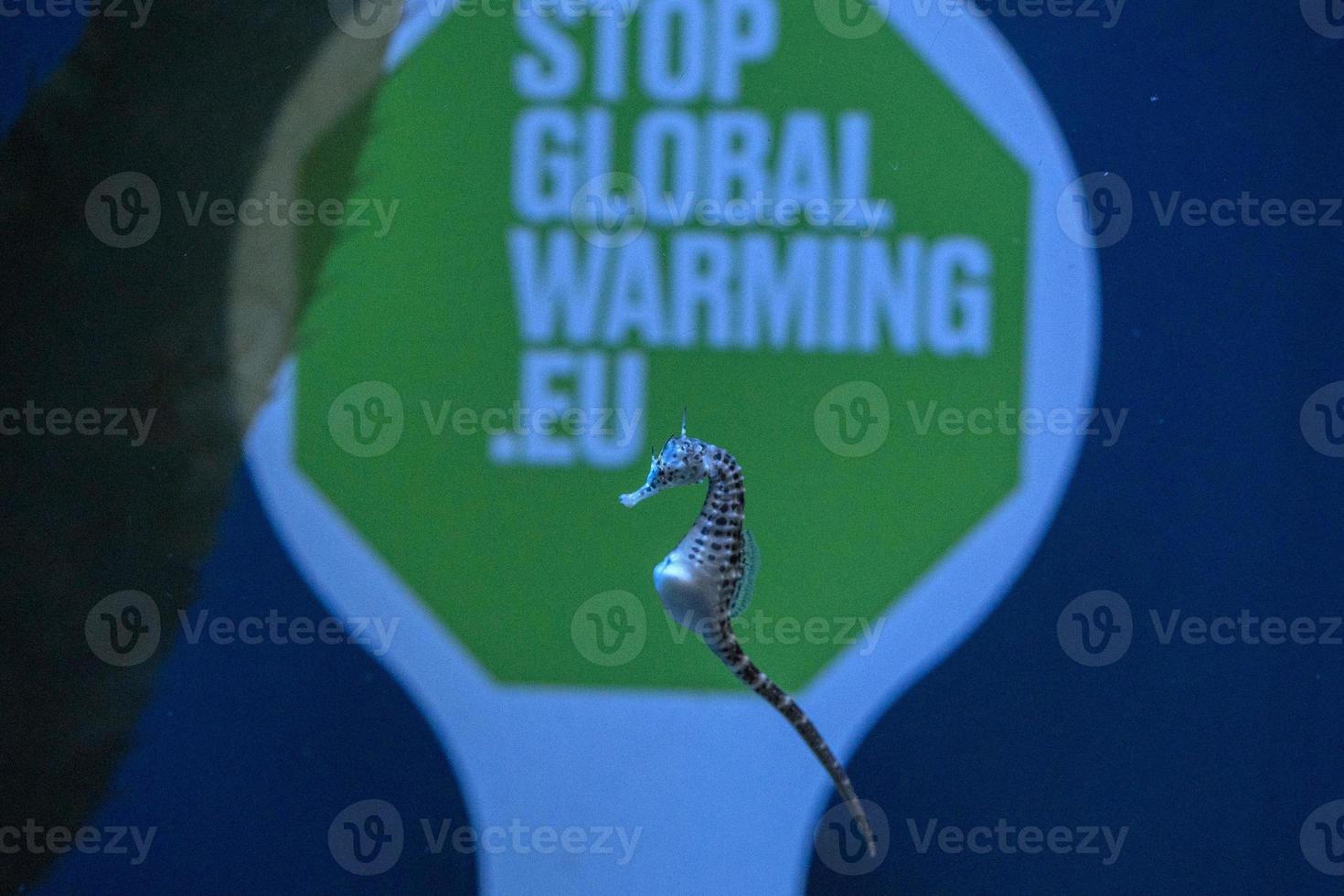 zee paard onderwater- hou op globaal opwarming teken achtergrond foto