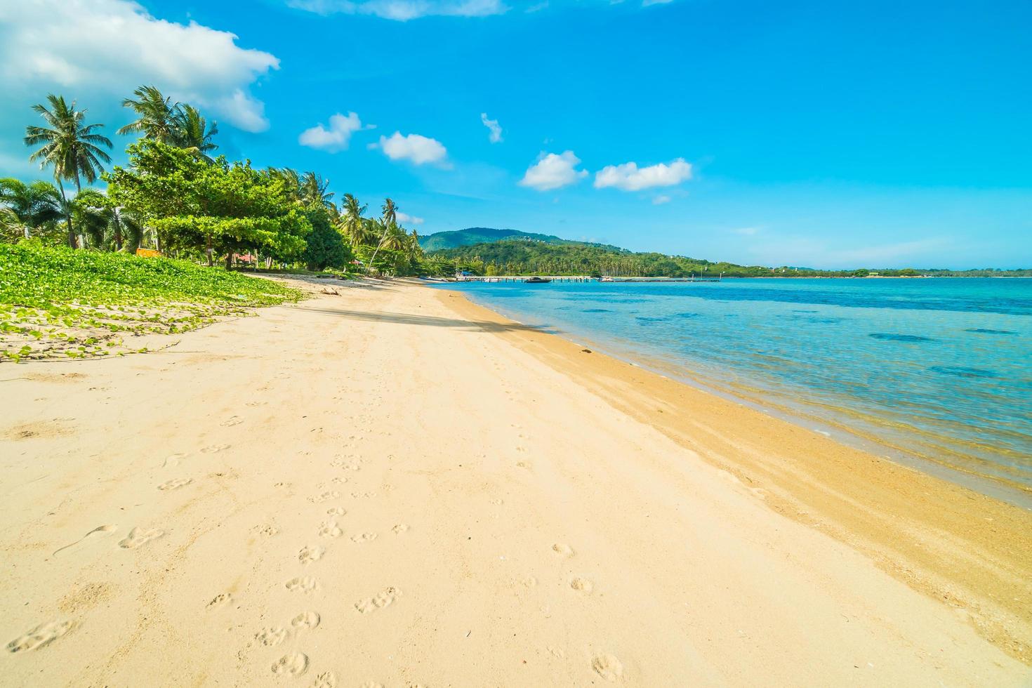 prachtig tropisch strand foto