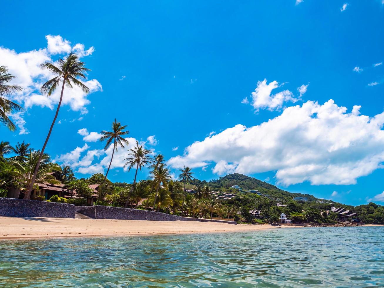 prachtig tropisch strand met palmbomen foto