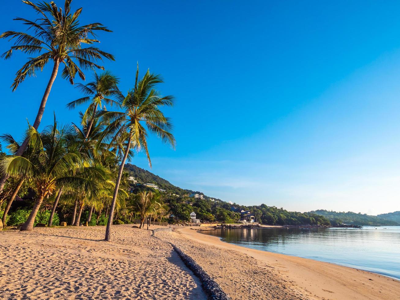 prachtig tropisch strand foto