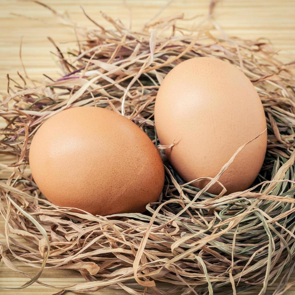 bruine eieren in een nest foto